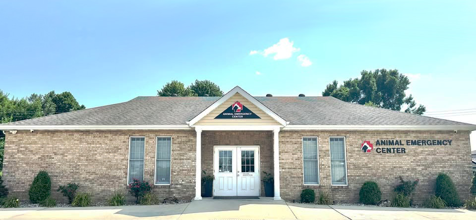 AEC Clinic Tall